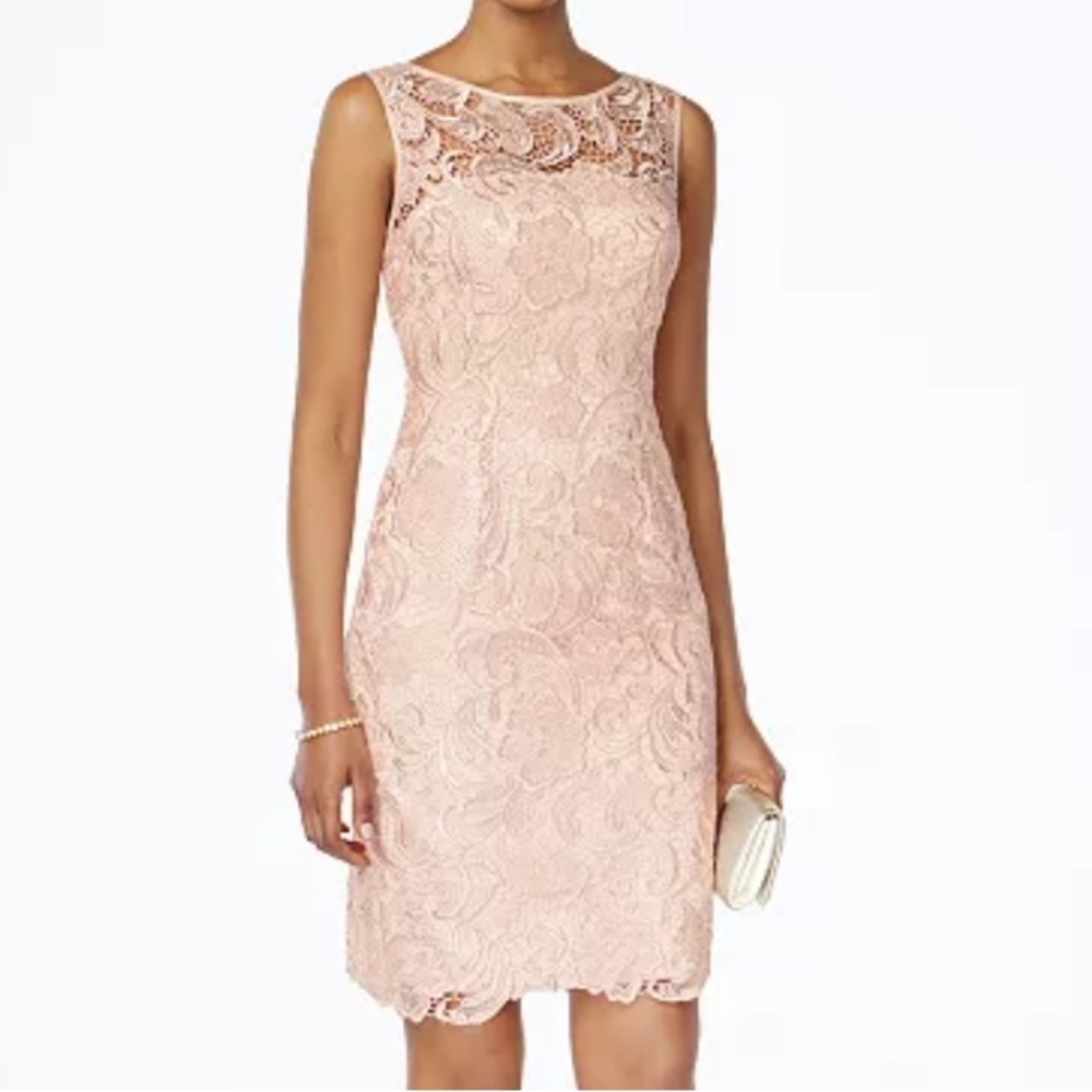 Adrianna Papell Blush Lace Sheath Dress
